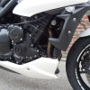 Triumph Speed Triple 1050 # 2012 # 27.800KM # Crystal White
